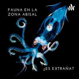 ¿Por qué consideramos tan extraños a los organismos que habitan en la zona abisal de los océanos?