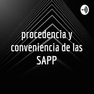 Escucha procedencia y conveniencia de las SAPP en la aplicación
