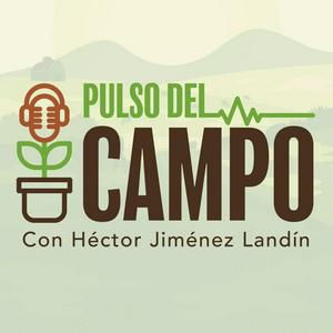 Pulso del campo