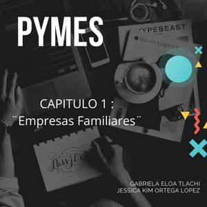 PYMES
