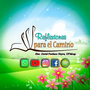 Reflexiones para el camino