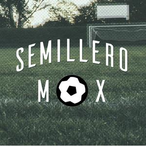 Escucha SEMILLERO MX en la aplicación