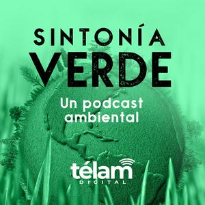 Escucha Sintonía Verde, un programa ambiental en la aplicación