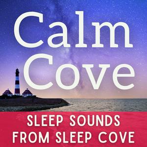 Escucha Sleep Sounds - White Noise & Sleep Music from Calm Cove en la aplicación