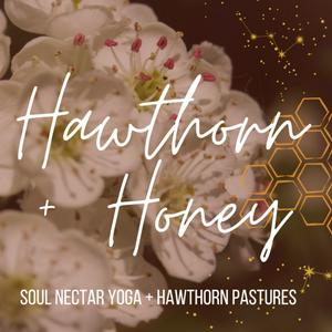 Hawthorn + Honey