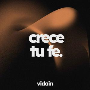vidain - CDMX